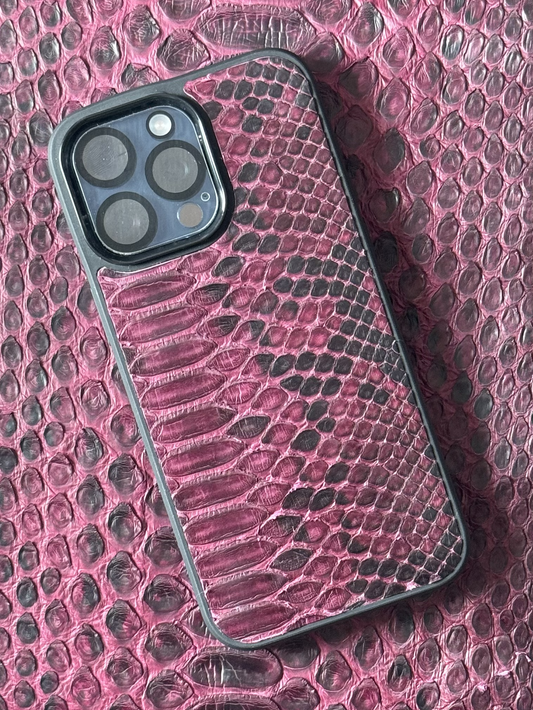 Coque en Python Rubis