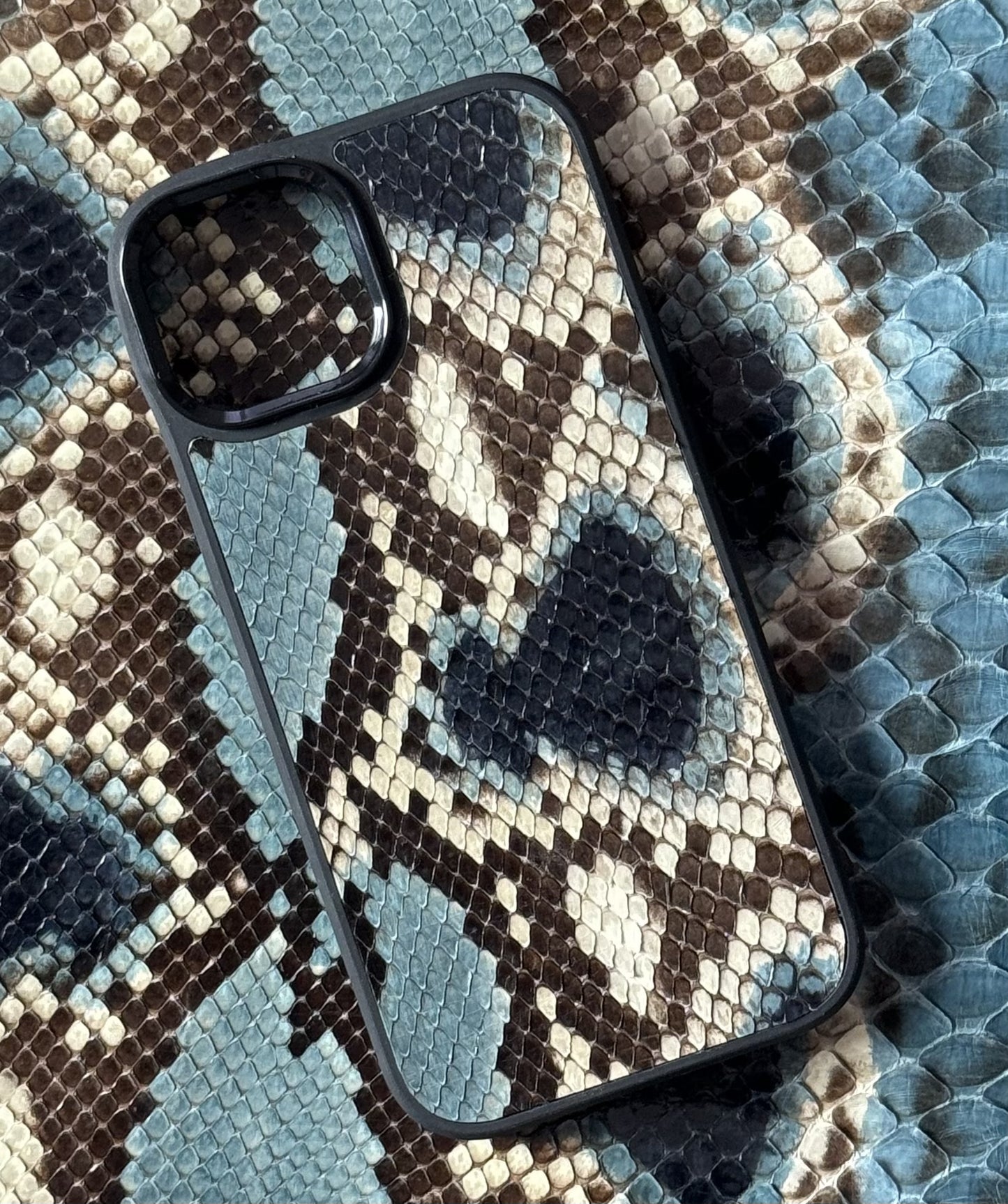 Coque en Python BlueSnake