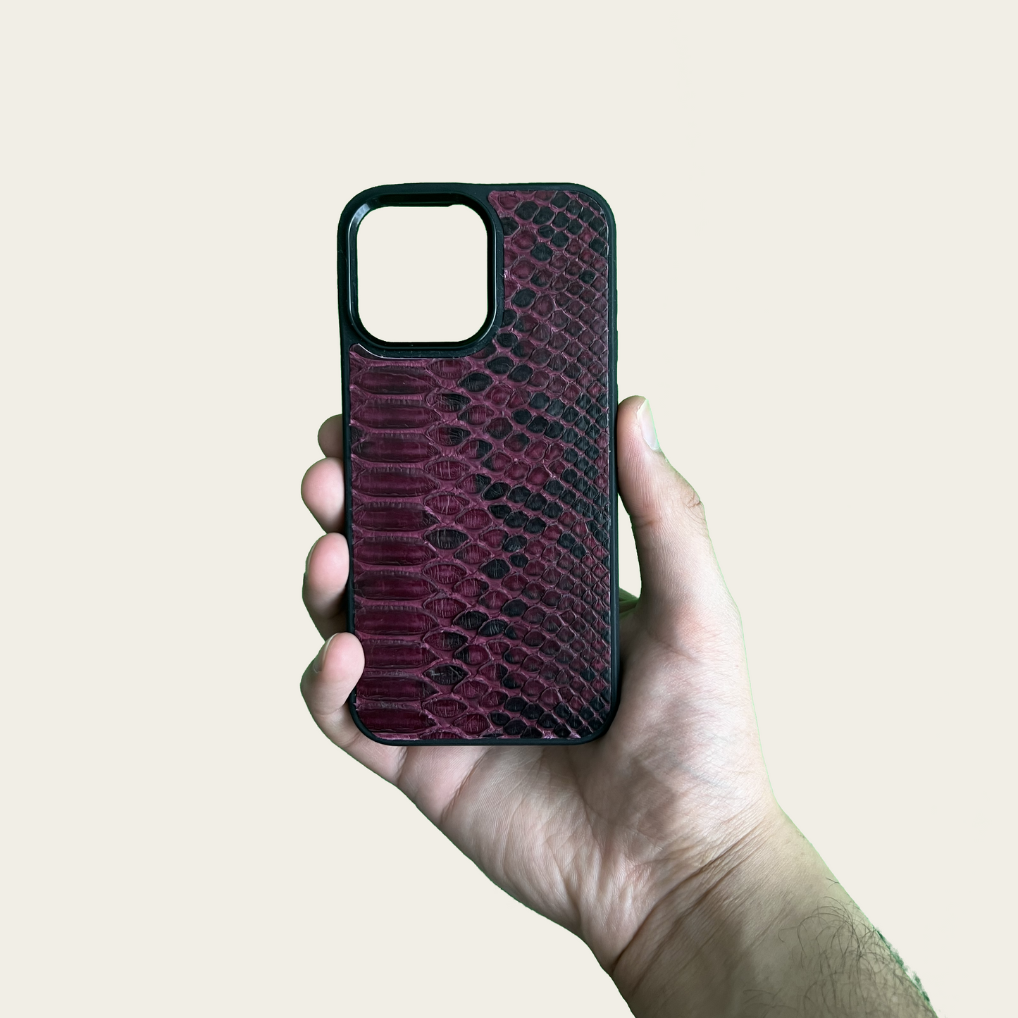 Coque en Python Rubis